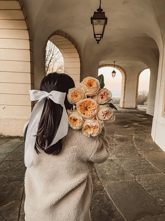 Rose Cream X-pression